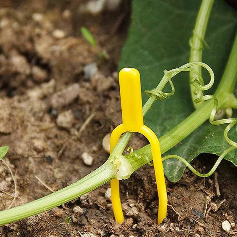 Garden Tools 100pc Plant Clips - Vines & Stolons Fastening Clamp | Farm Quality